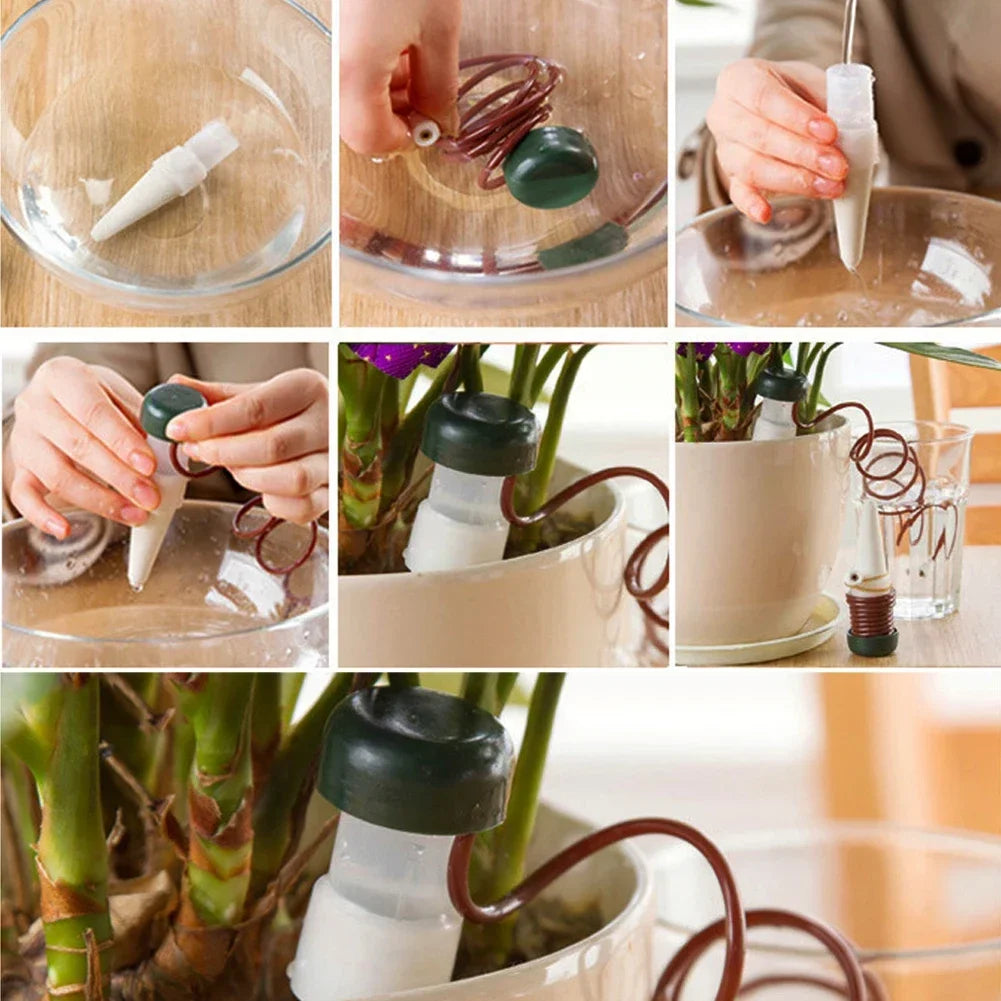 Easy Watering Indoor Plant System 8 Piece Set