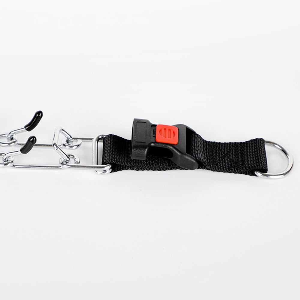 Gentle Pinch Dog Collar | Adjustable Training Collar