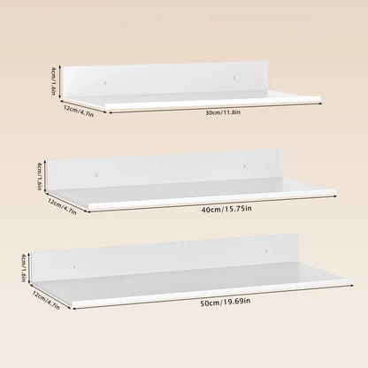 Modern Metal Floating Shelf Storage