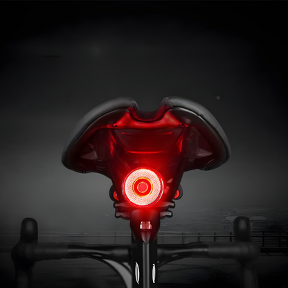 Smart Bike Rear Lamp with Auto Brake Sensor