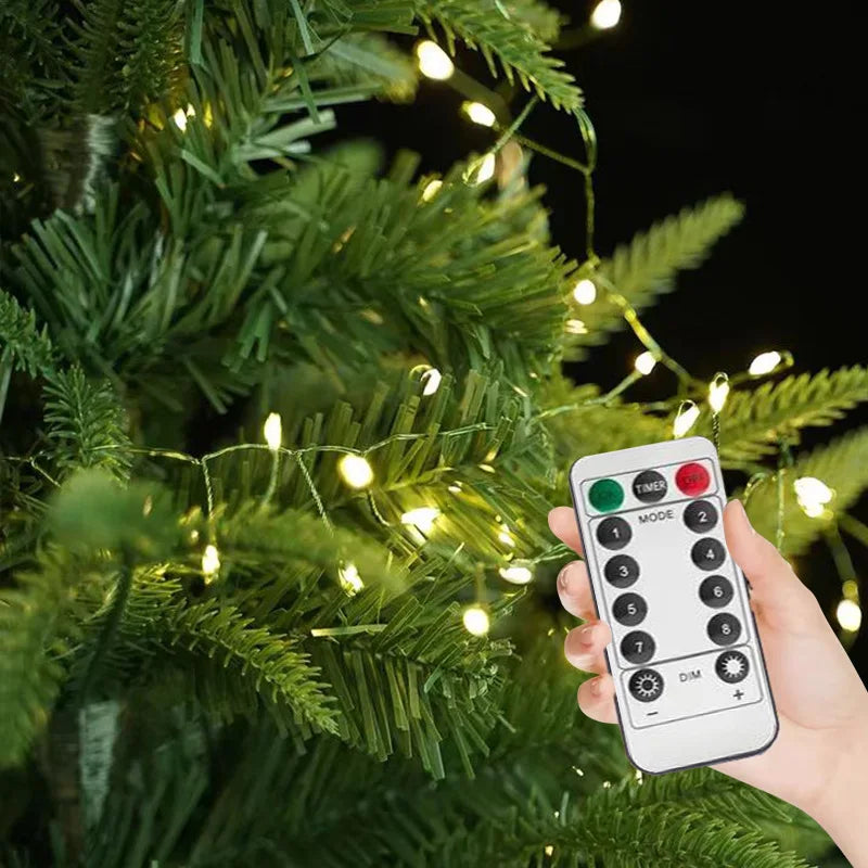 Colorful LED Party Light String with Remote Control