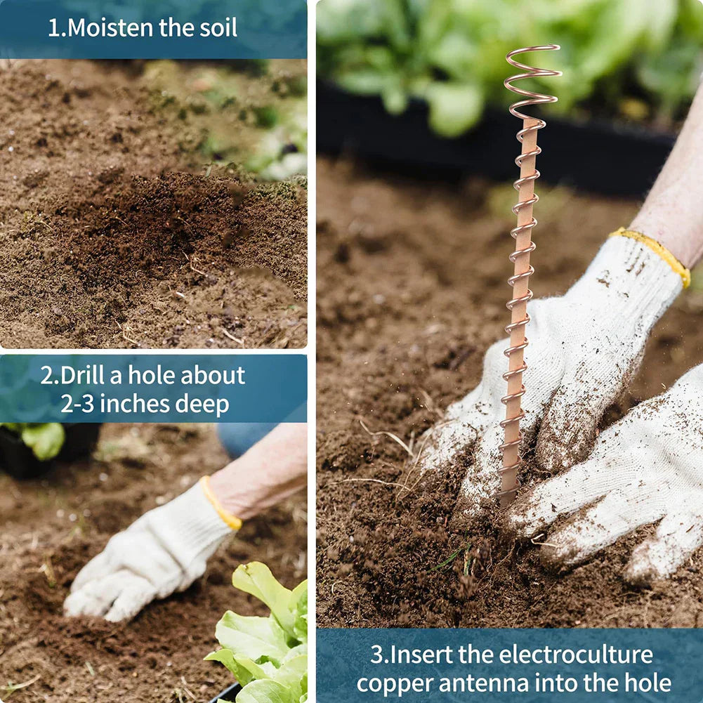 Natural Copper Plant Growth Sticks for Indoor Gardens