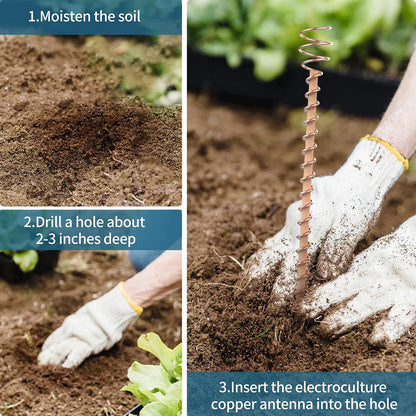 Natural Copper Plant Growth Sticks for Indoor Gardens