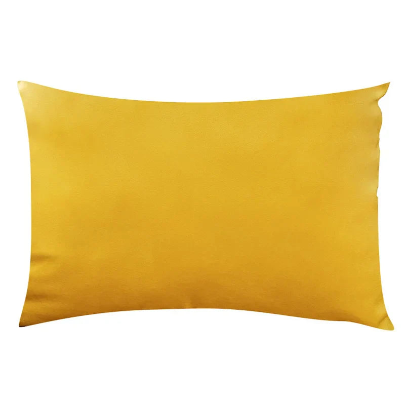 Soft Velvet Pillow in Bright Pastel Shades