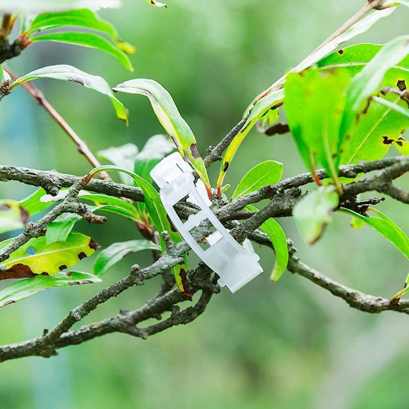 Easy Gardening Plant Stem Clips