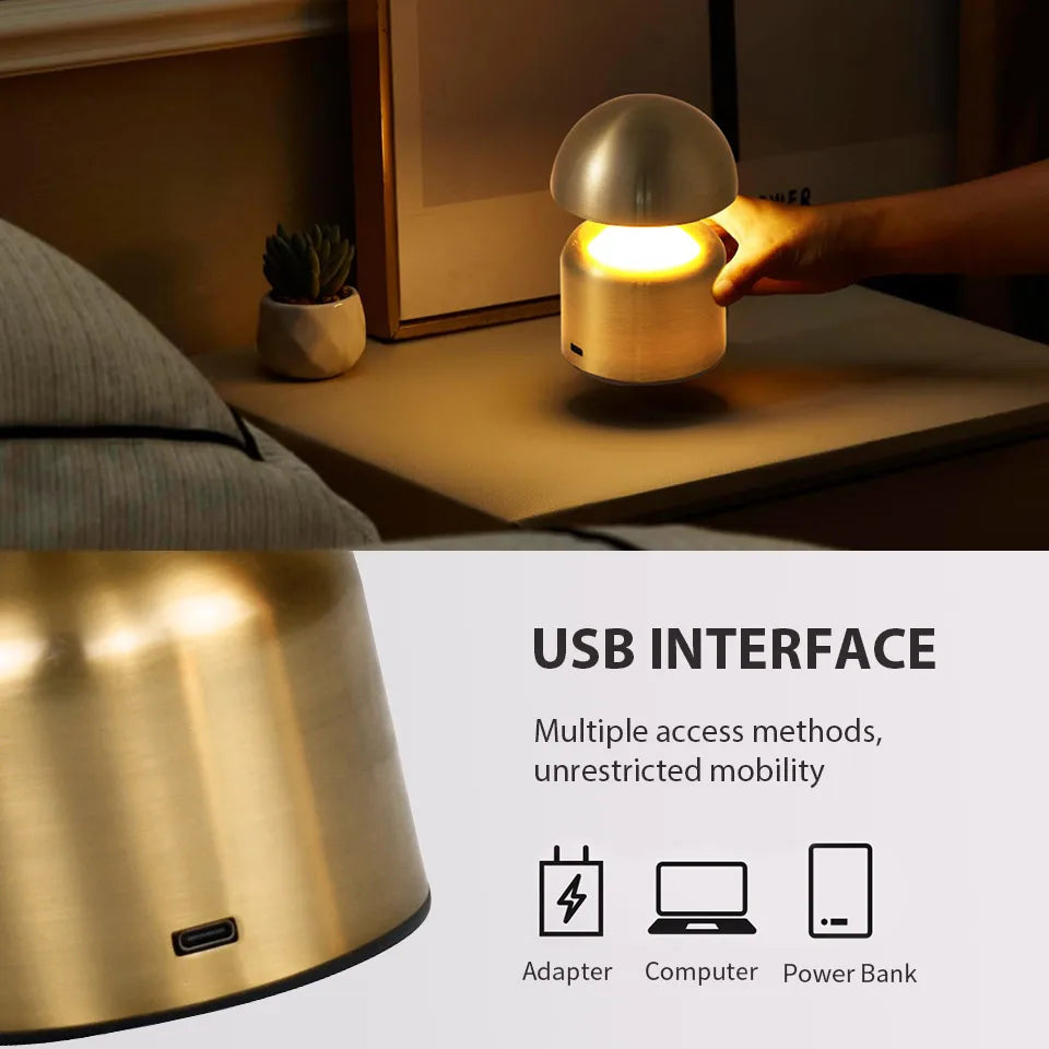 Portable LED Desk Lamp with Dimmer