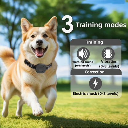 Long Range Wireless Pet Fence System with Rechargeable Collar
