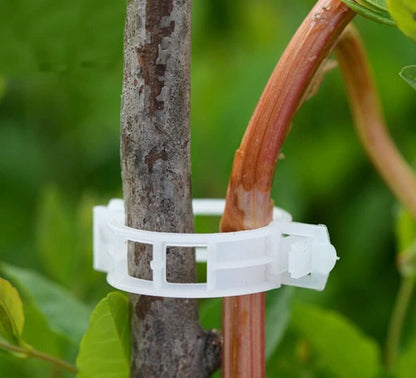 Easy Gardening Plant Stem Clips