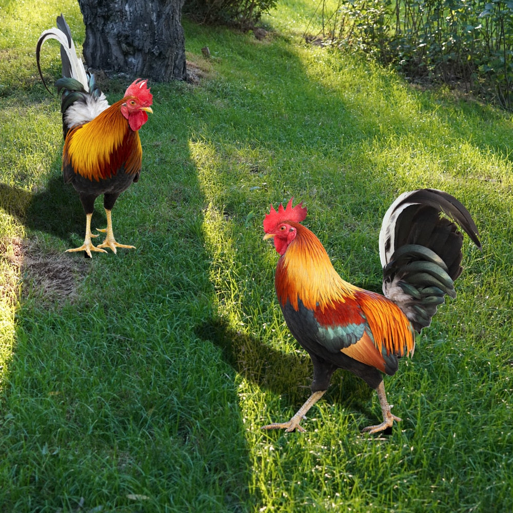 Colorful Bird Garden Statue - Fesara