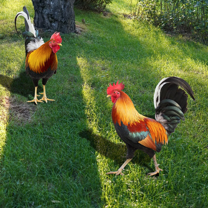 Colorful Bird Garden Statue - Fesara