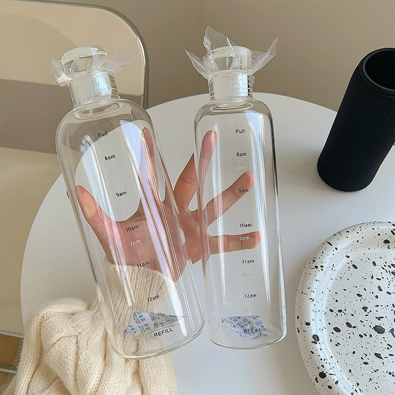 Insulated Borosilicate Glass Water Bottle