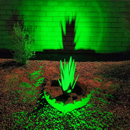 Outdoor Solar Powered Garden Lights Set of 4