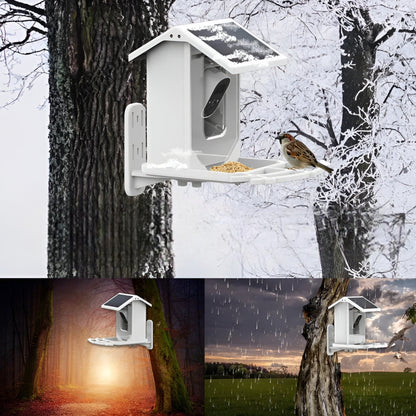 Wireless Bird Feeder with HD Camera and Solar Power
