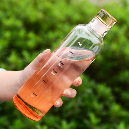 Insulated Borosilicate Glass Water Bottle