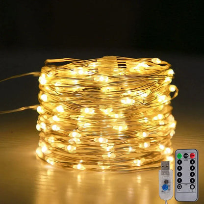 Warm White Fairy String Lights with USB and Remote
