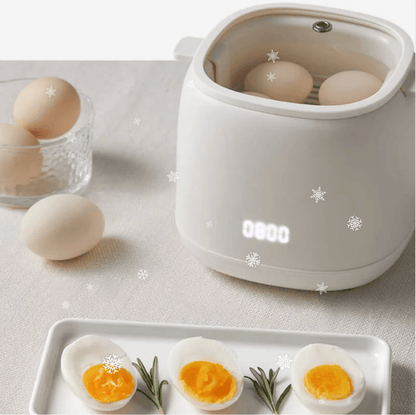 Easy Egg Cooker with 6 Preset Settings