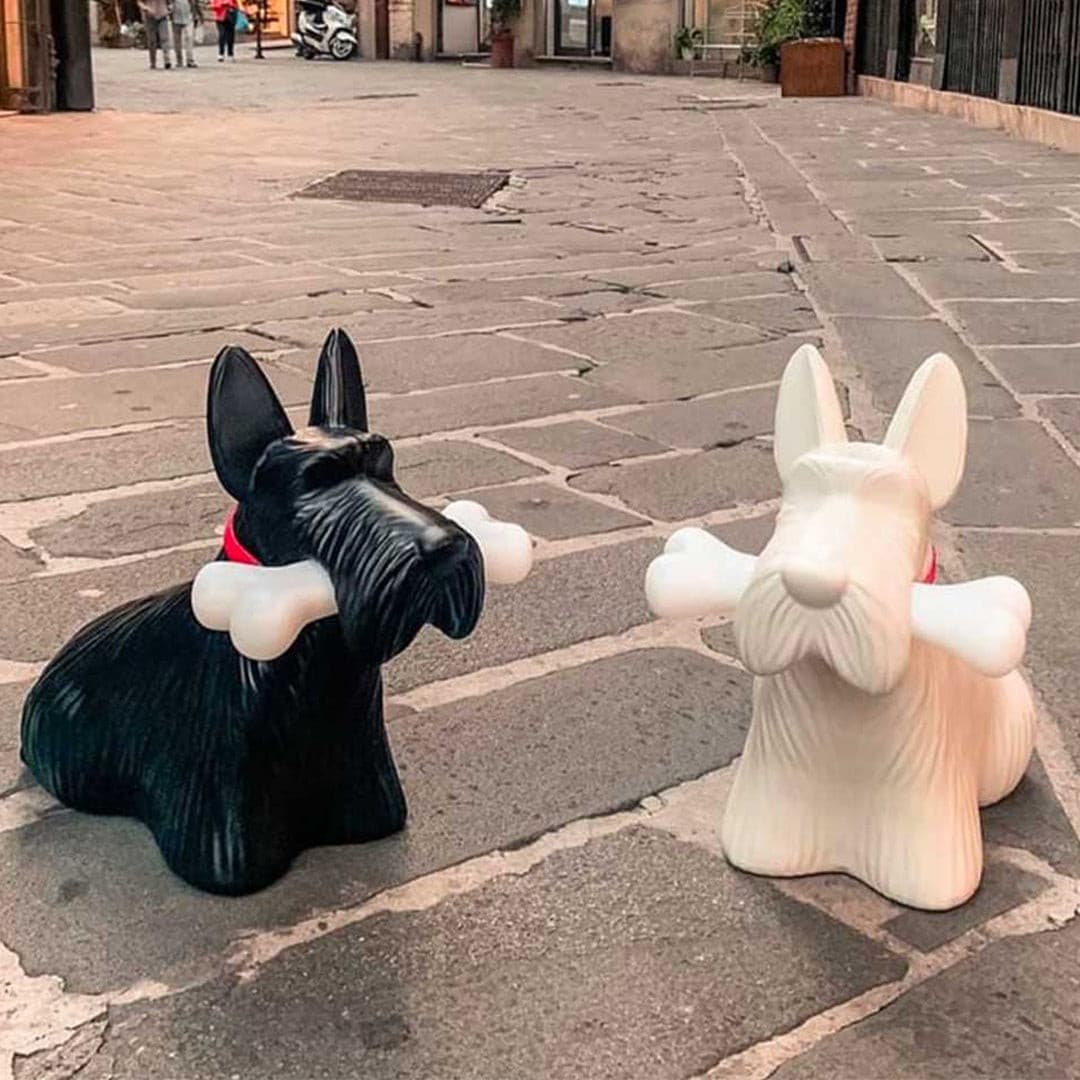 Fun Scottie Dog Night Light Lamp