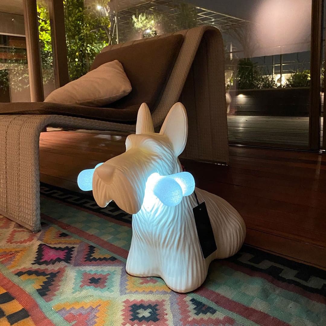 Fun Scottie Dog Night Light Lamp