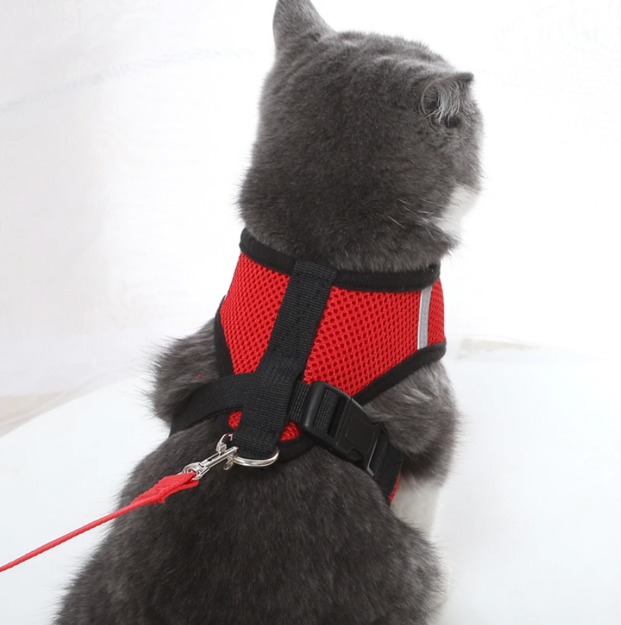 Soft Cat Harness Leash Set for Kittens and Cats - Fesara
