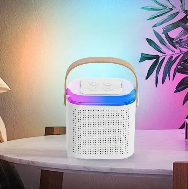 Portable Wireless Karaoke Microphone - Fesara