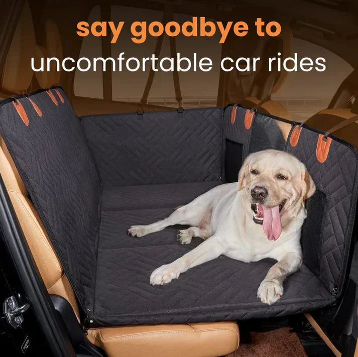 Portable Pet Bench for Easy Travel