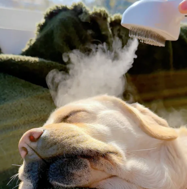 Soothing Pet Massage Brush for Cats and Dogs