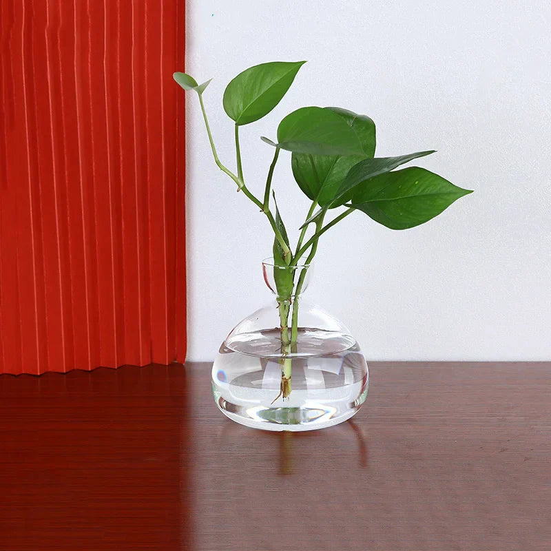 Clear Glass Avocado Planter Vase