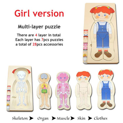 Interactive 3D Human Body Model Kit