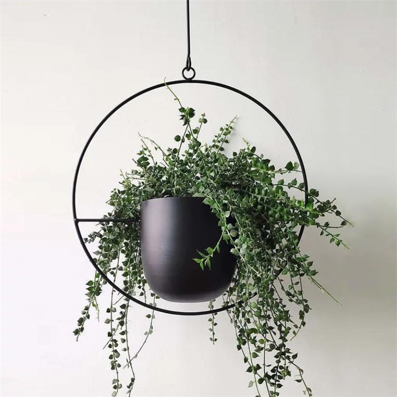 Modern Plant Hangers for Home Decor