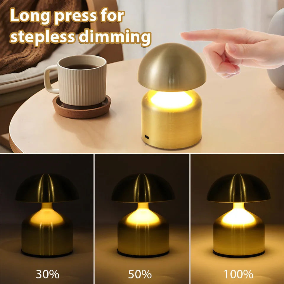 Portable LED Desk Lamp with Dimmer