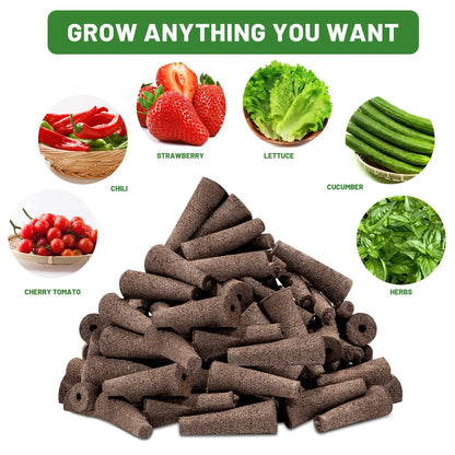 Seed Starting Sponges 50 Pack for Hydroponic Plants