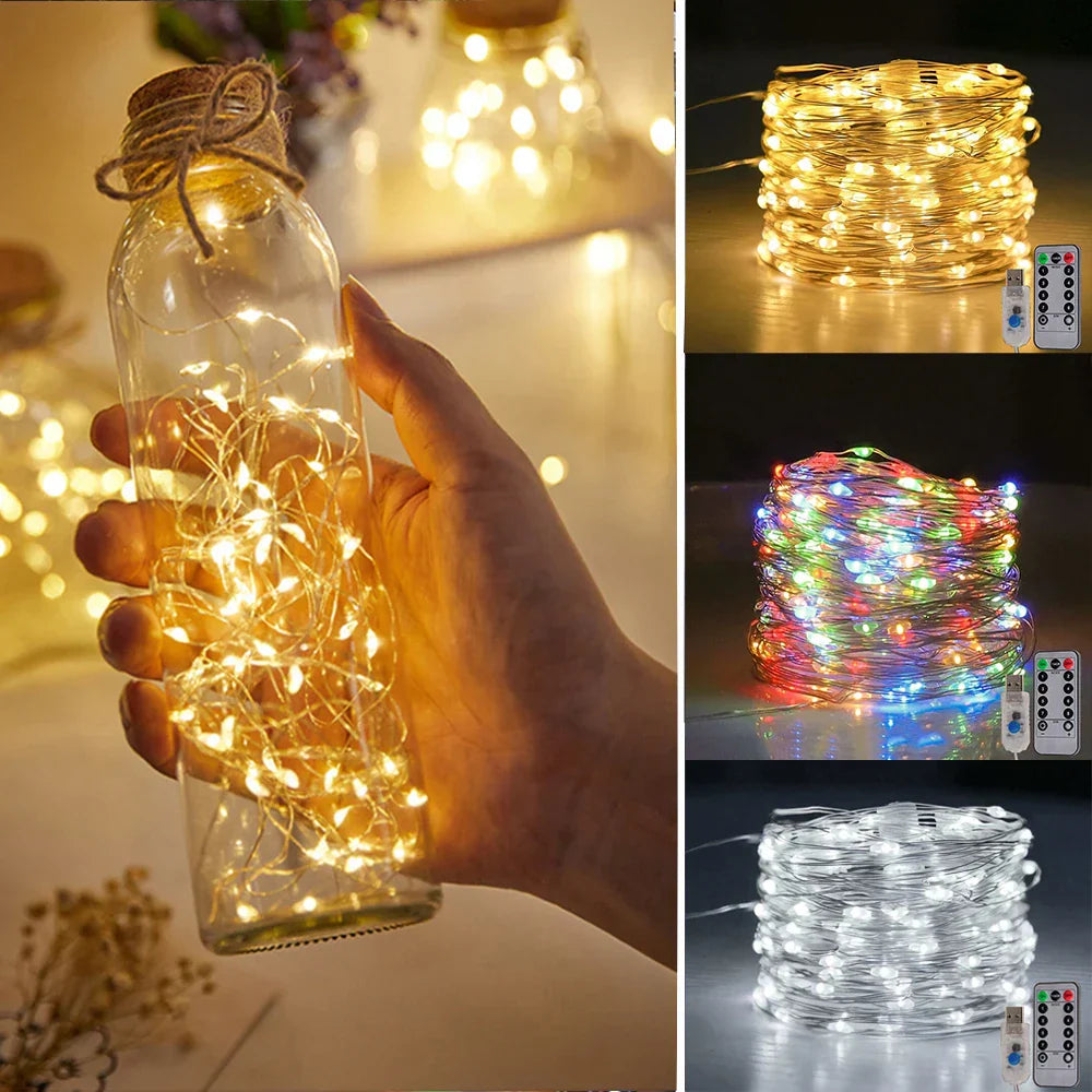 Warm White Fairy String Lights with USB and Remote