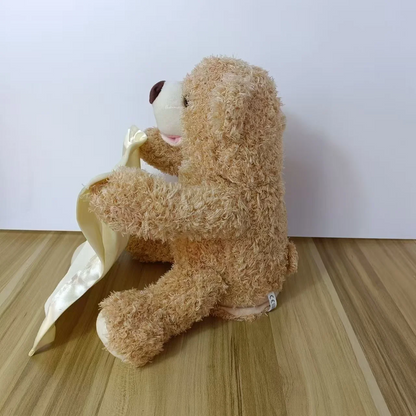 Cute Animated Teddy Bear Toy