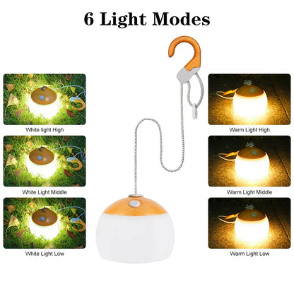 Classic Outdoor USB Rechargeable Camp Lantern