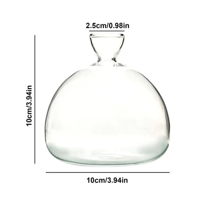 Clear Glass Avocado Planter Vase - Fesara