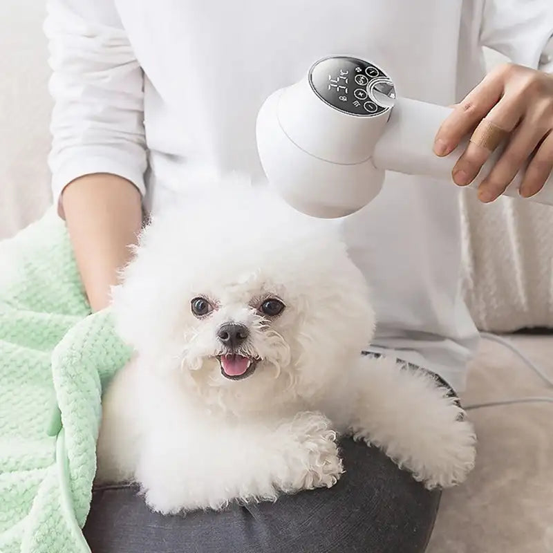 Quiet Pet Grooming Dryer and Brush