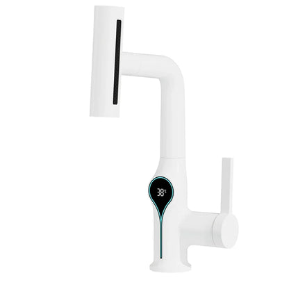 Modern Faucet with Digital Display and Adjustable Spray