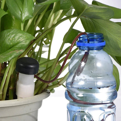 Easy Watering Indoor Plant System 8 Piece Set