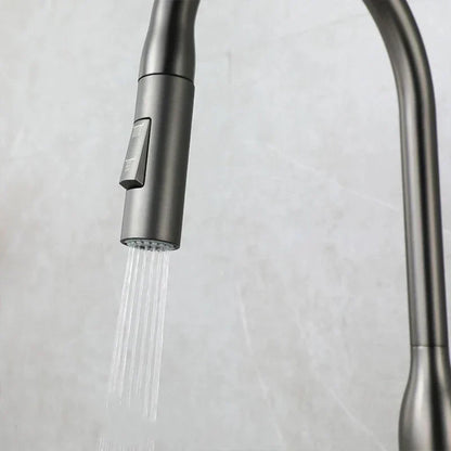 Flexible Kitchen Faucet with Pull Out Spray