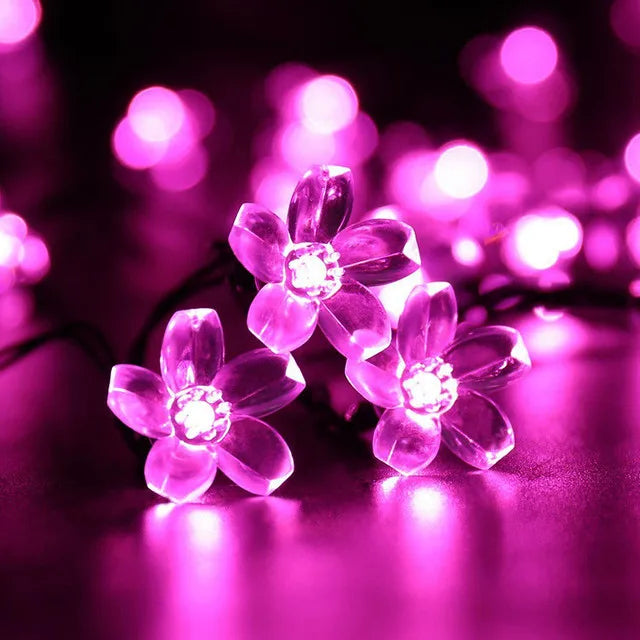 Outdoor Solar Fairy String Lights Warm White 20-100 LEDs