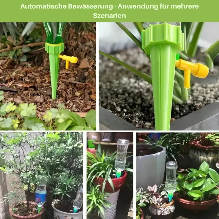 Easy Watering Plant Spike for Indoor Plants