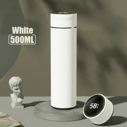 Insulated Stainless Steel Water Bottle 500ml