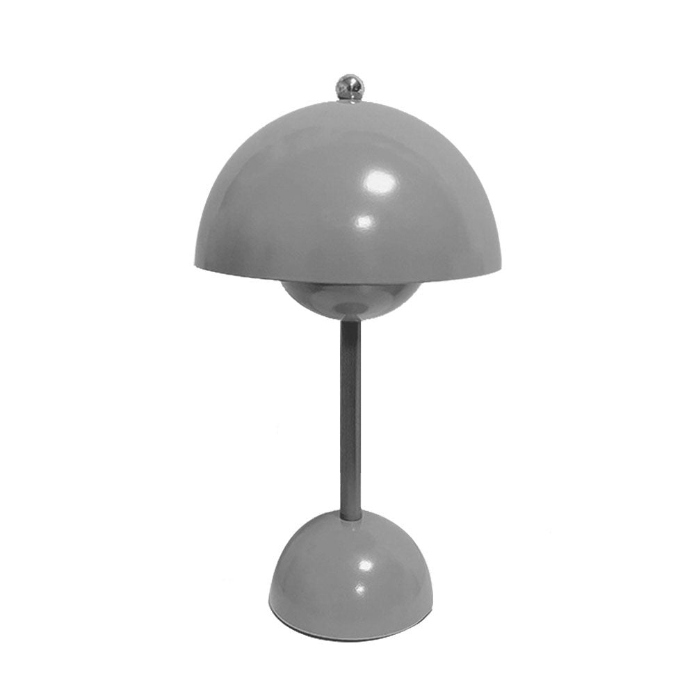 Contemporary Metal Desk LED Lamp