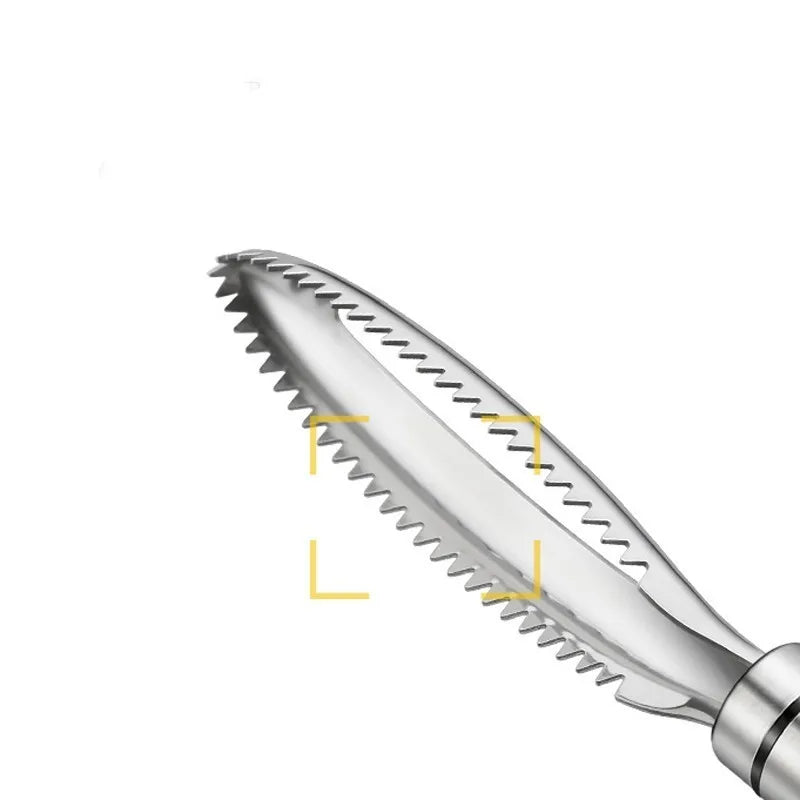 Easy Fish Scale Remover Tool Set