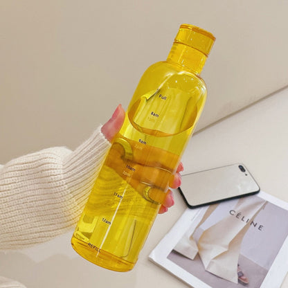 Insulated Borosilicate Glass Water Bottle