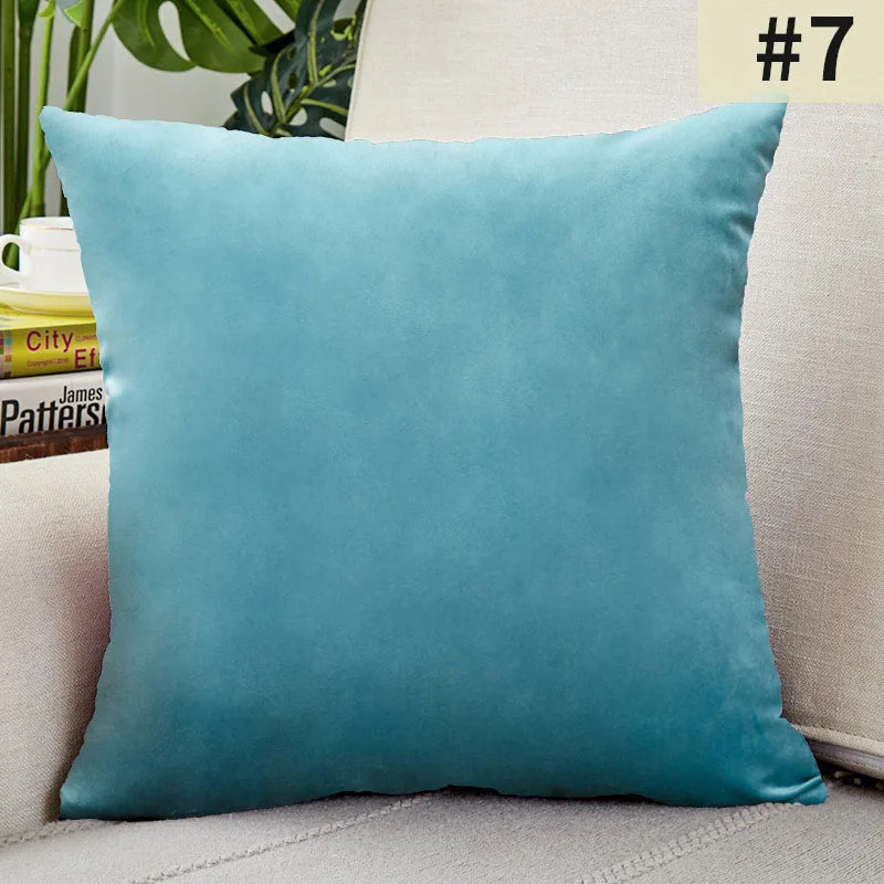 Plush Velvet Pillow Cover for Sophisticated Home Decor