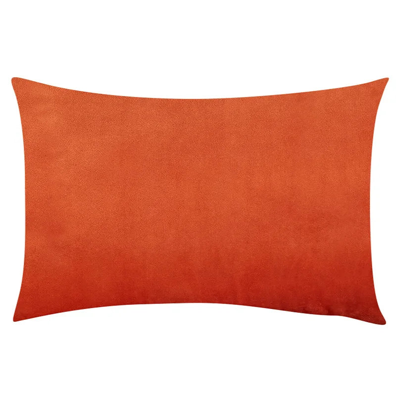 Soft Velvet Pillow in Bright Pastel Shades