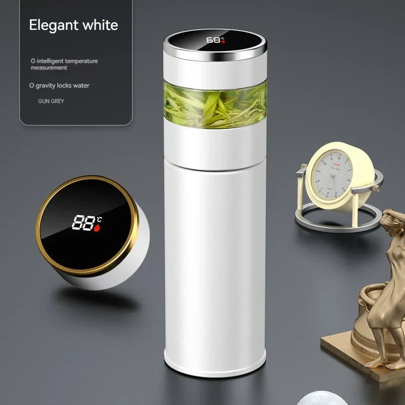 Insulated Thermal Bottle with LED Temp Display - Fesara