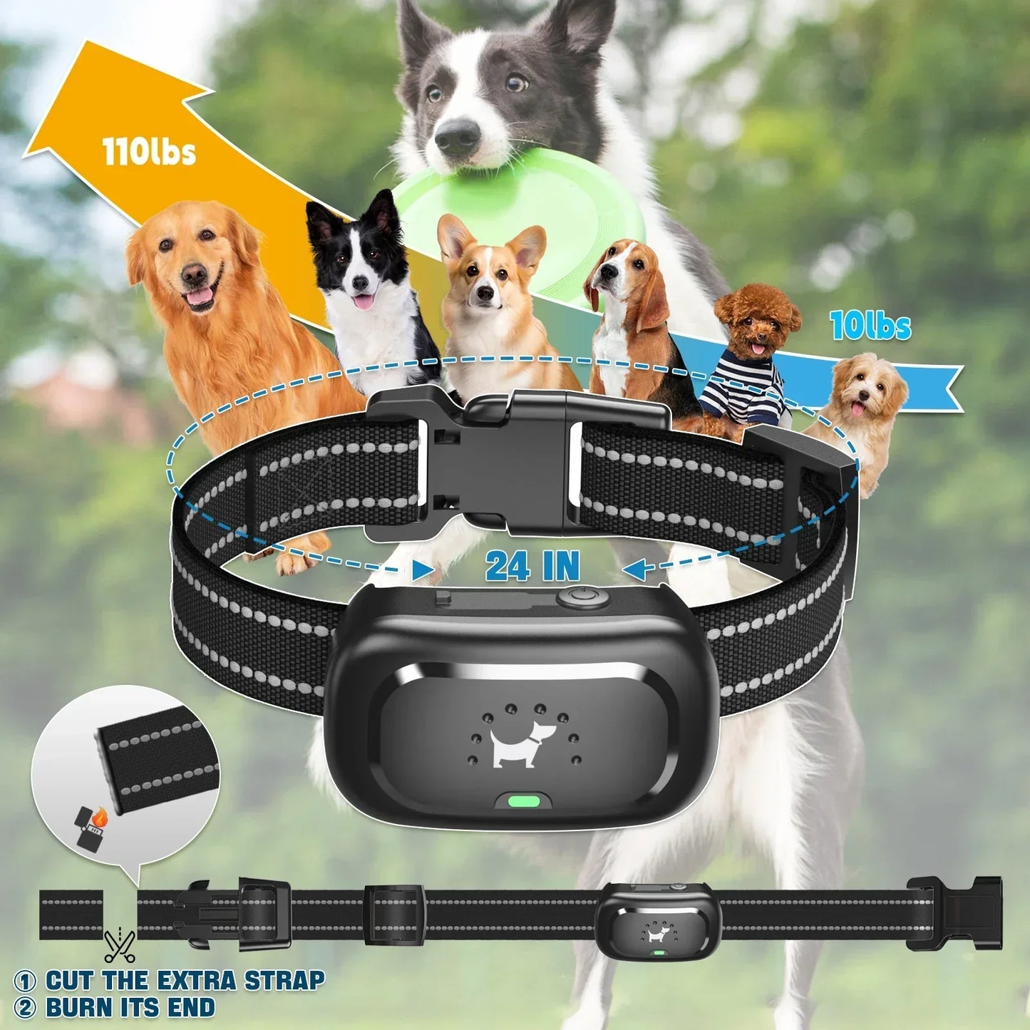 Waterproof Rechargeable Dog Training Collar with Remote