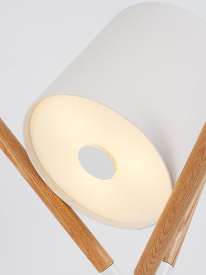 Adjustable Contemporary Desk Lamp
